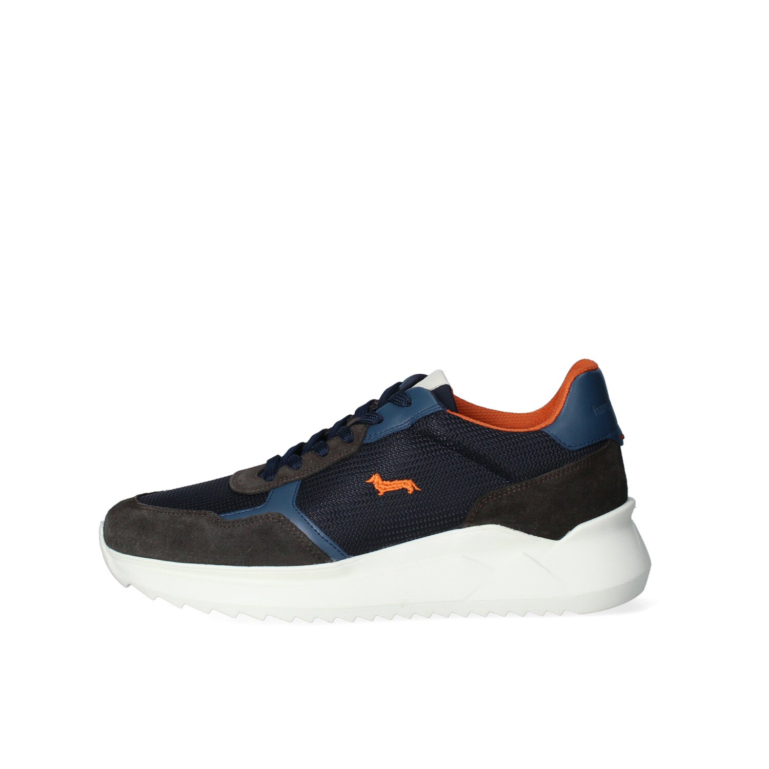 Sneakers Uomo Harmont Blaine – Imperia Calzature