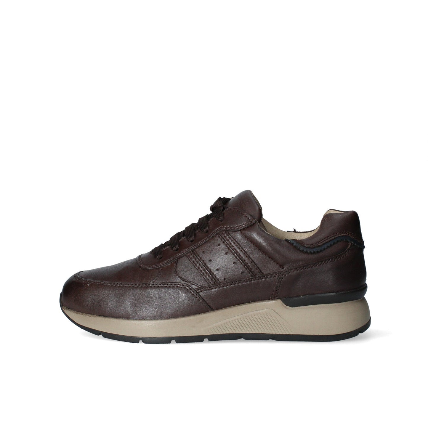 Sneakers Uomo Luxury HARRY501