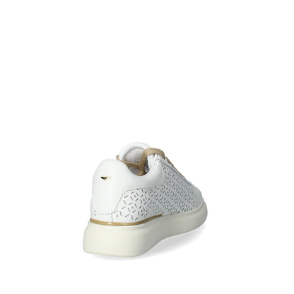 Sneakers Donna Alberto Guardiani AGW438000